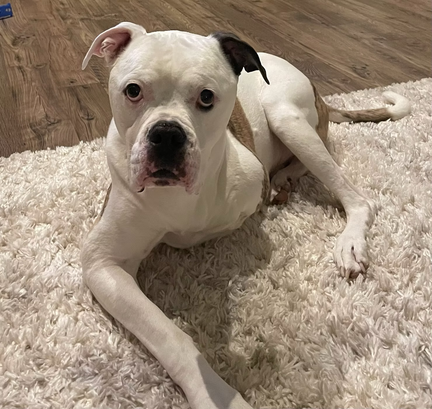 Ace “Pookie” Burk