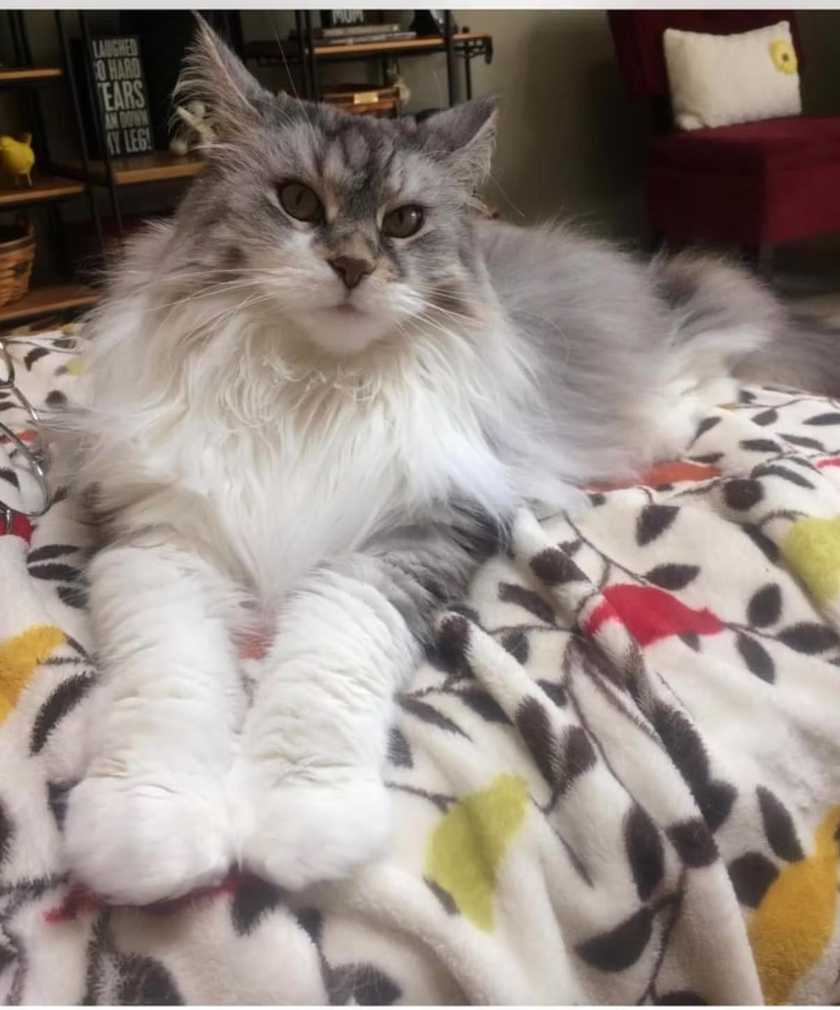 Kenzie better known as WOO 2