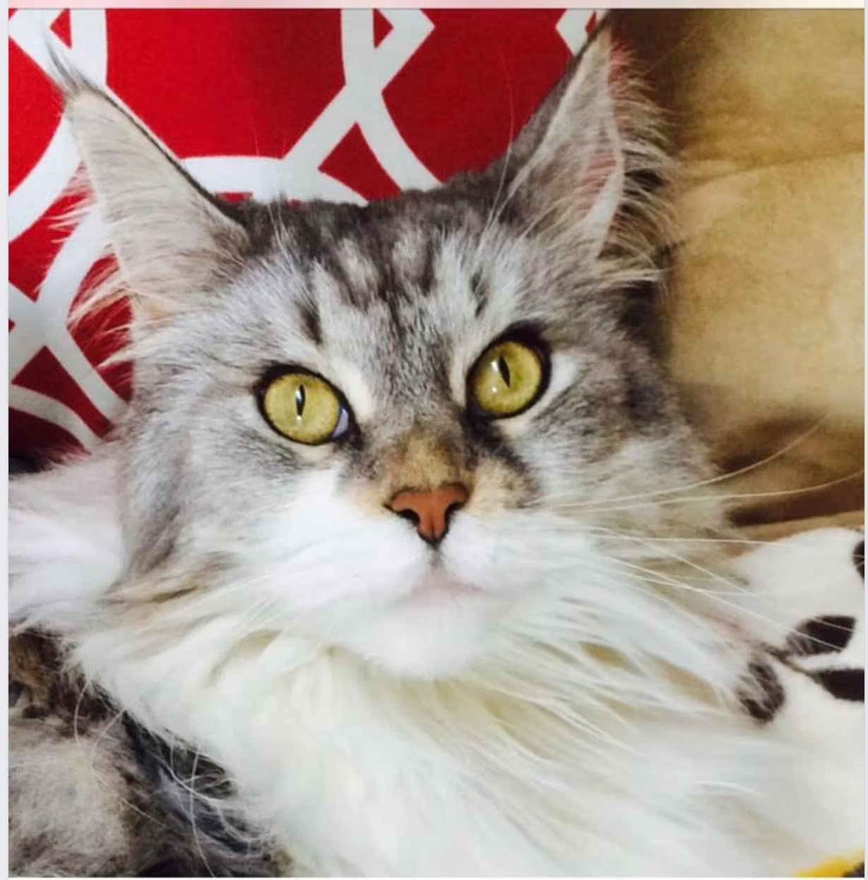 Kenzie better known as WOO 3