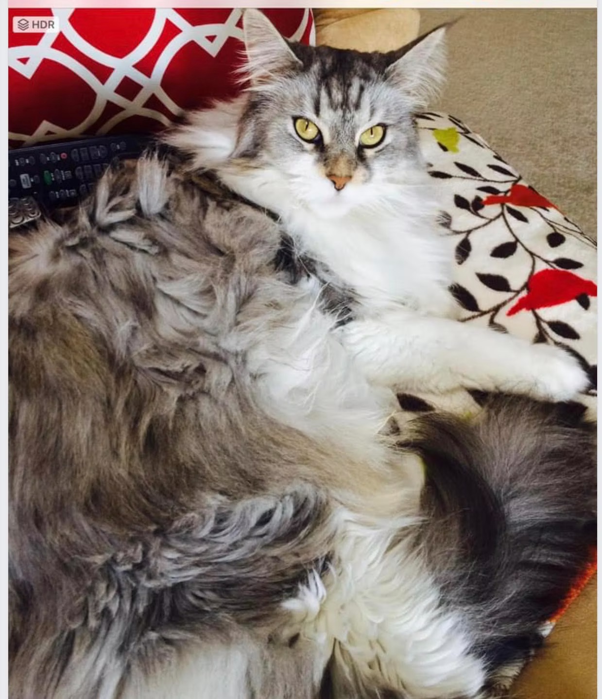 Kenzie better known as WOO