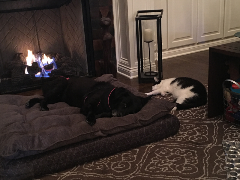 kona-3 appliance repair bexley